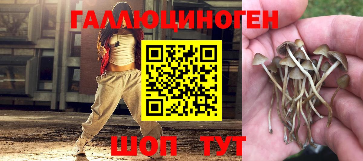 Галлюциногенные грибы мухоморы Санкт-Петербург