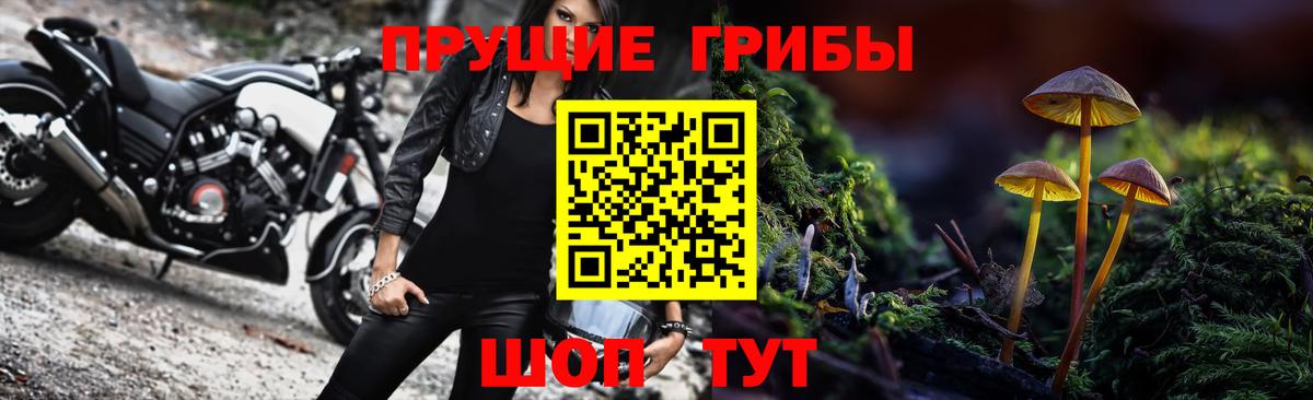 Санкт-Петербург  Псилоцибиновые грибы MAGIC MUSHROOMS  Вход с VPN 